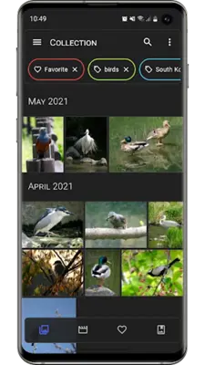 Aves Gallery android App screenshot 6